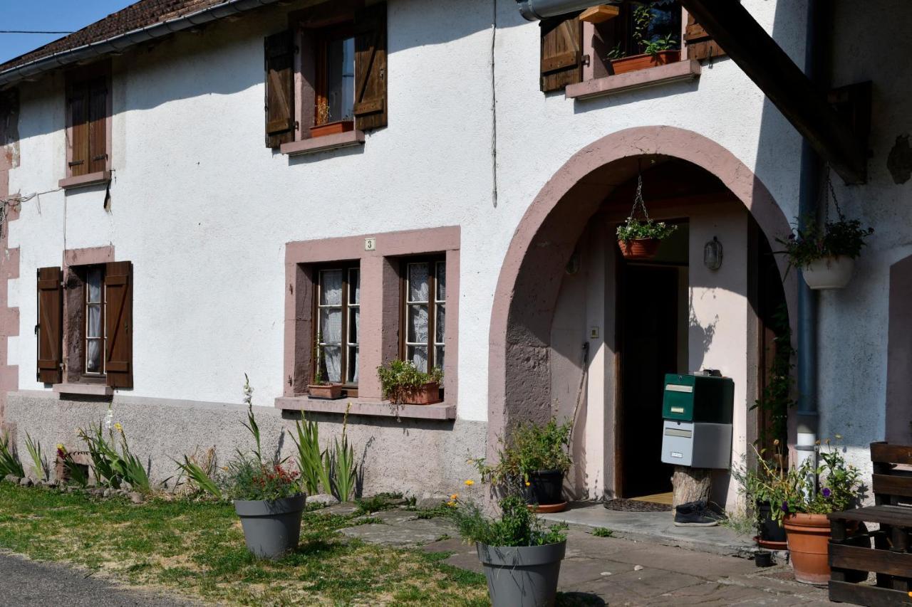 Ferme De Ma Grand-Mere Le Haut-du-Them 외부 사진